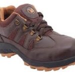 Hillson-Swag-Brown-1904