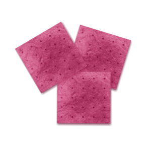 VENUS V-SORB PAD